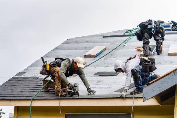 Professional Roofing technician working in Peru, NE